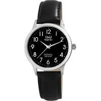 Q&Q Analogové hodinky S03A-009VY