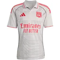 Adidas Camisa funcionais 'Olympique Lyonnais 25/26' cinzento claro / vermelho cereja