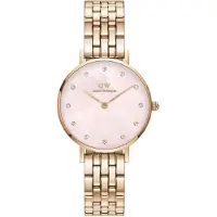 Daniel Wellington Petite Lumine 5-Link DW00100617