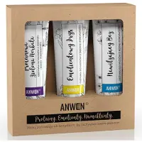 Anwen Bálsamos porosos para cabelo medi conjunto 3x100ml