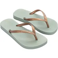 Ipanema Chinelos Anatomic Colors