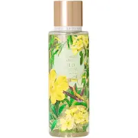Victoria's Secret Victoria`s Secret Wild Willow Body Mist 250 ml