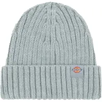 Dickies Gorro Lockwood