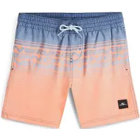 O'Neill Calção De Banho Logo Stripe