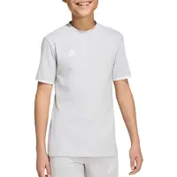 Adidas Camisa funcionais 'Entrada26' cinzento claro / branco