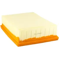 Champion Filtro De Ar Caf5301