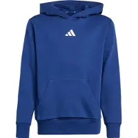 Adidas Moletom Com Capuz Essentials Small Logo