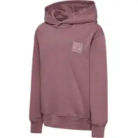 Hummel Moletom Com Capuz Clean