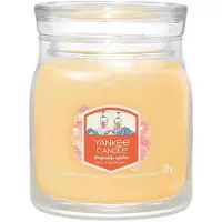 Yankee candle Slopeside Spritz 368 g