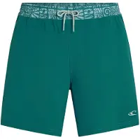 O'Neill Calção De Banho Pocket Print 16´´