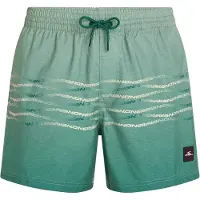 O'Neill Calção De Banho First 15´´