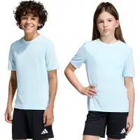 Adidas Camisa funcionais 'Entrada26' azul claro / branco