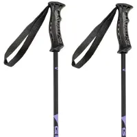 Gabel Bastões Júnior R Carbon
