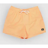 Quiksilver Calção De Banho Everyday Deluxe Volley 15´´
