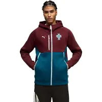 Puma Moletom Com Capuz Viagem Portugal 25/26 Tech