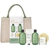 BAYLIS & HARDING Wellness. Energise conjunto presente nécessaire de cosméticos Ginger, Lime & Basil Leaf