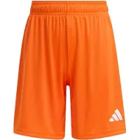 Adidas Calções Entrada26 - Criança