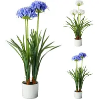 Basics Planta Artificial Agapanthus 50x80cm Sortido