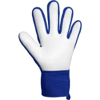Reusch Luvas De Goleiro Attrakt Starter Solid