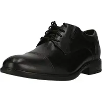 Clarks Shoes Sapatos Steadwell Cap