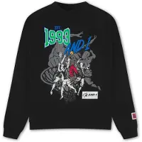 AND1 Sweatshirt '1993 Dunk' cinzento / verde / preto