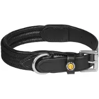Equestro Coleira De Cachorro Web