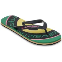 Quiksilver Chinelos Molokai Screen
