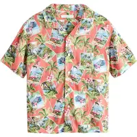 Next Camisa azul claro / verde / amora / rosa claro