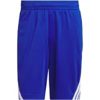 Adidas Calças de desporto 'Legends' azul cobalto / offwhite
