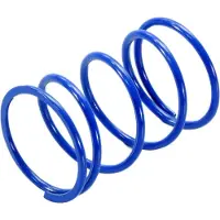 Polini Kit De Mola De Embreagem Honda D.4.2 243022
