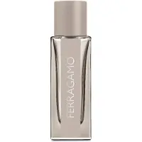 Salvatore Ferragamo Ferragamo Couro Brilhante EDT - 30 ml