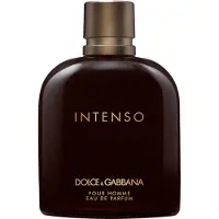 Dolce&Gabbana perfume Intenso EDP 200 ml