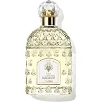 Guerlain perfume Eau De EDC 100 ml