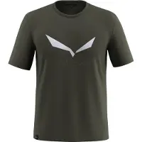 Salewa Camiseta De Manga Curta Solidlogo Dri-release