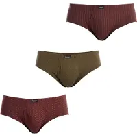 Abanderado Slips As00090.1tg