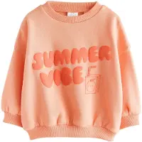 Next Sweatshirt laranja / alperce