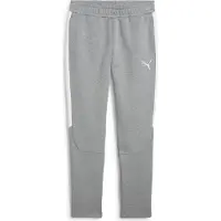 Puma Calças de desporto 'teamEvostripe' cinzento / branco