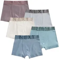 Next Cueca turquesa / azul pombo / cinzento claro / malva / offwhite