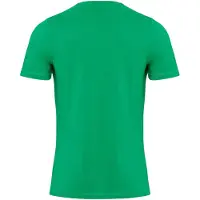 TeeShoppen Camisa ' Organic Basic ' verde