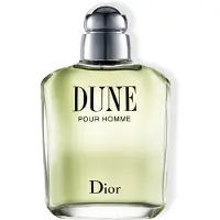 Dior Christian perfume Dune Pour Homme EDT 100 ml