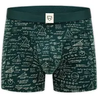Adam Boxers 'Maths Pro' areia / verde escuro