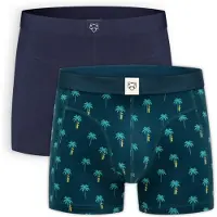 Adam Boxers azul noturno / azul ciano