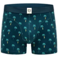 Adam Boxers navy / turquesa / azul ciano / amarelo
