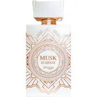 Noya Extrato de Perfume Musk Is Great - 100ml