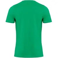 TeeShoppen Camisa ' Organic Basic ' verde