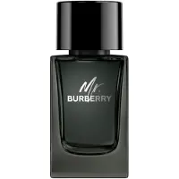 Burberry perfume Mr.EDP 100 ml