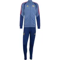Adidas Fato de treino 'FC Bayern München' azul / opal / ouro / vermelho
