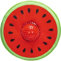 Beeztees Brinquedo Para Cães Melon Spikie