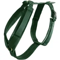 Kentucky Arnês Para Cães Active Velvet