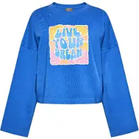 Ebeeza Sweatshirt azul cobalto / amarelo / rosa